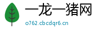 一龙一猪网